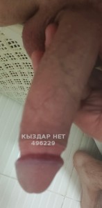 Жиголо Караганды Парень№496229 Minkun Фотография №3740945