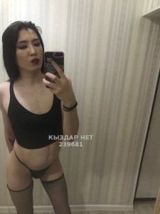 Транс Костаная Анкета №239681 Фотография №2673073