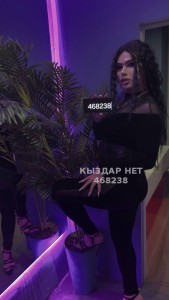 Транс Алматы Транс№468238 Tessa Xxl Фотография №3716871